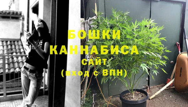 дживик Богородицк