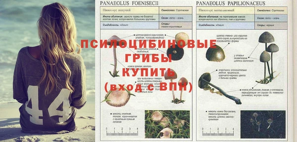 MESCALINE Богородск