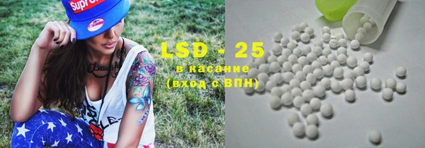 дживик Богородицк